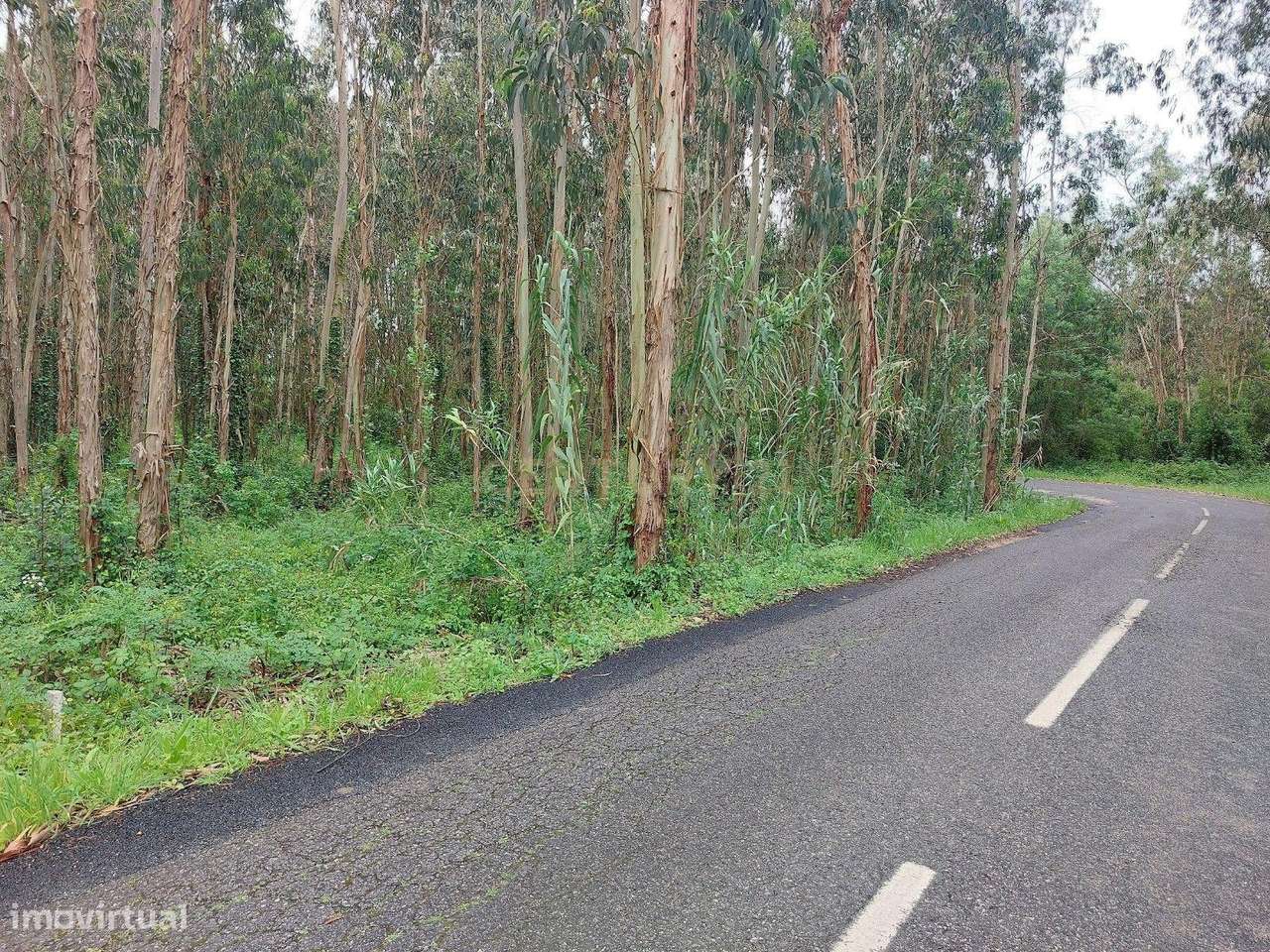Terreno Rústico, inserido em uma zona tranquila no Paião, 14 minutos d - Grande imagem: 3/5