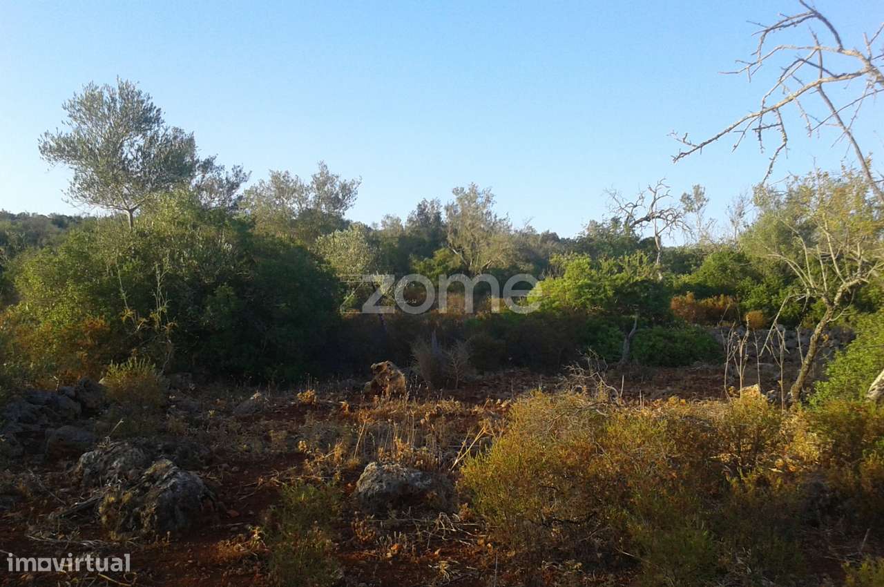 Terreno rústico em Alcaria, Messines, com 34.600m2 - Grande imagem: 4/19