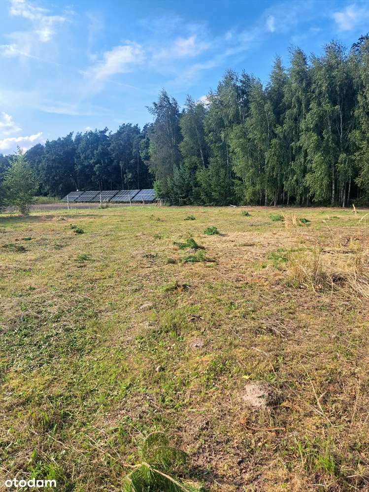 Działka budowlana 1000 m² - Wąsowo – tuż przy lesie! - Pełny obrazek: 4/6