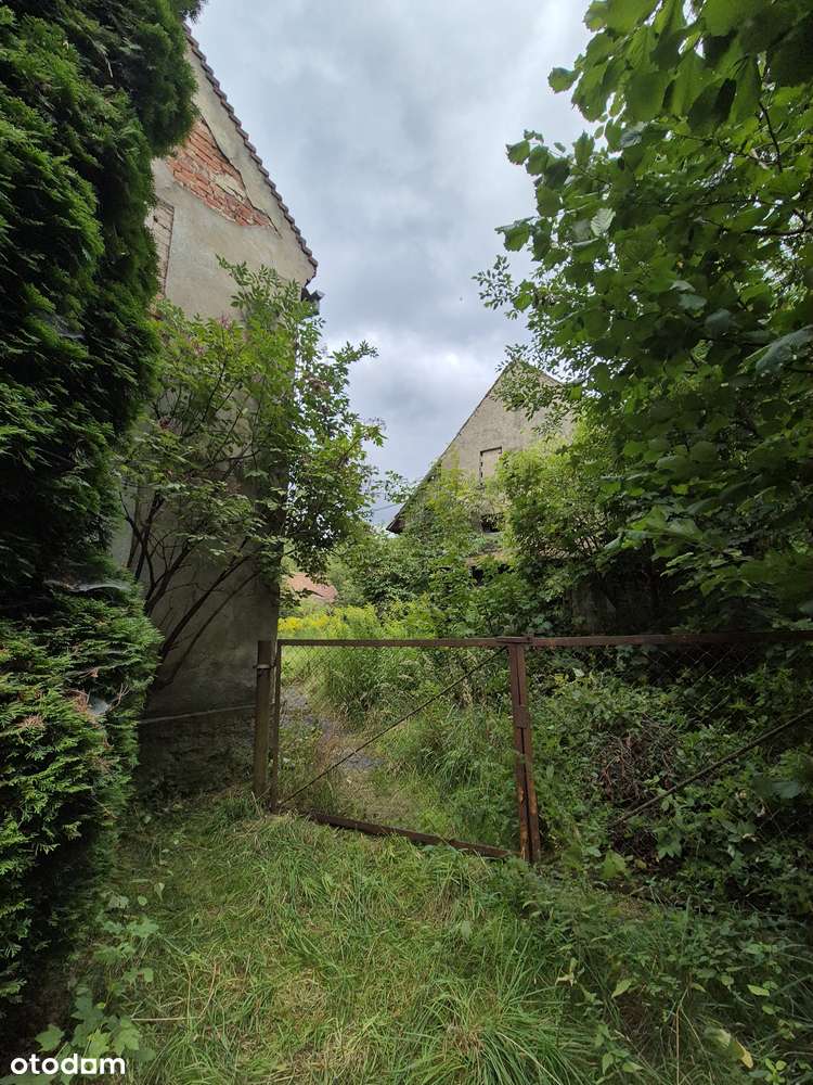 Sprzedam gospodarstwo rolne-15