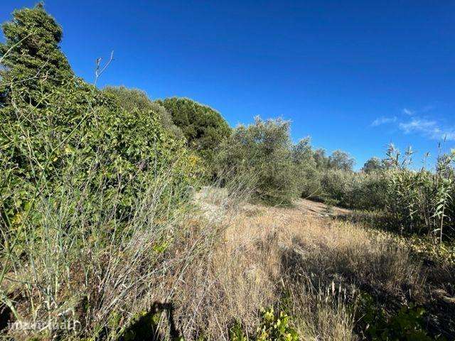 Terreno urbano em Porto Salvo, Oeiras - Grande imagem: 3/16