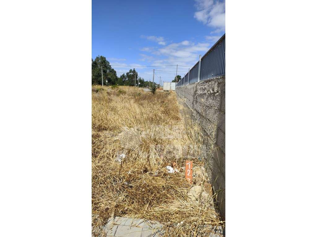 TERRENO PARA CONSTRUÇÃO 150 000€ 
PALMELA / QUINTA DO ANJO - Grande imagem: 2/8
