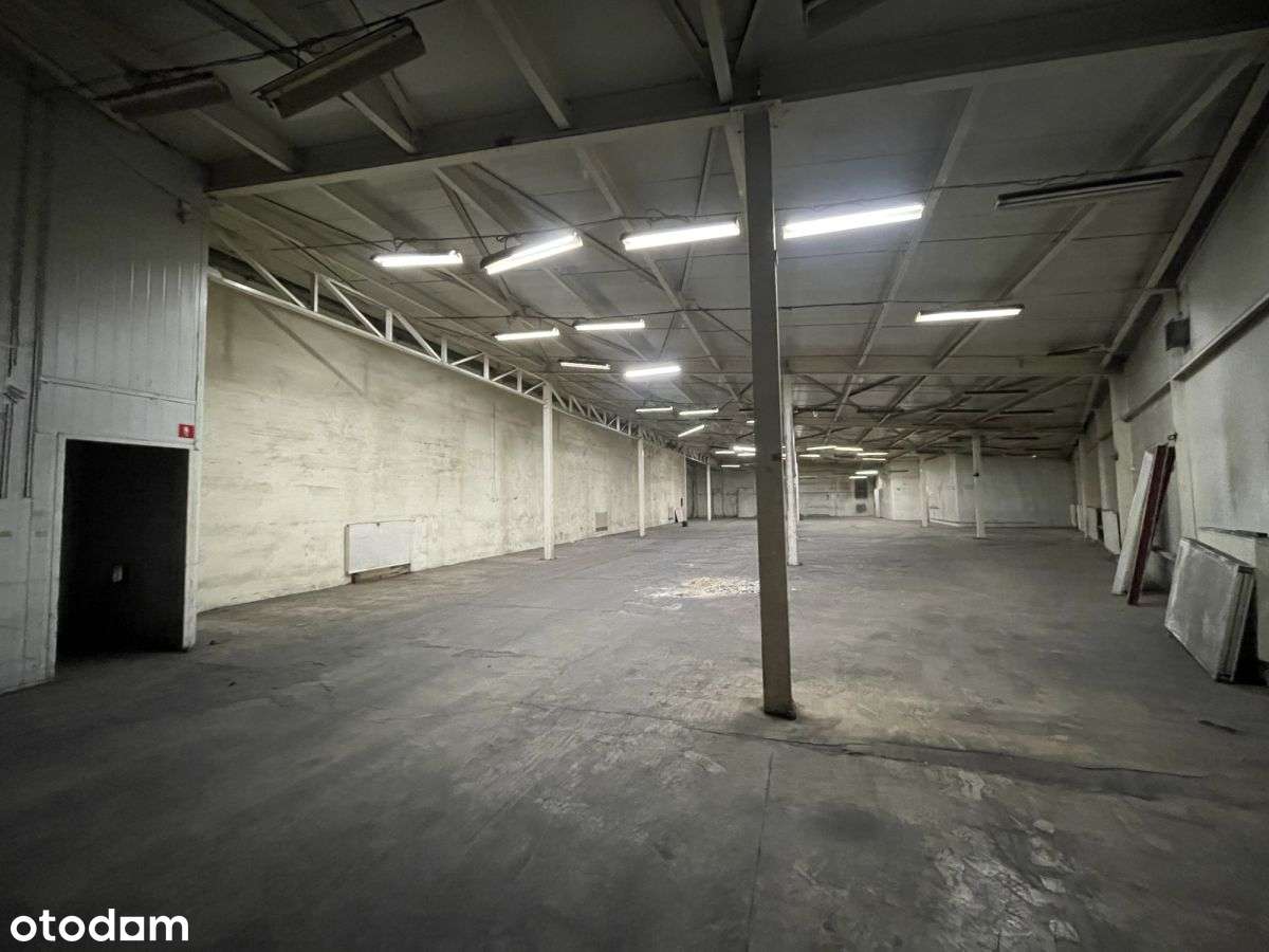 Duży magazyn z antresolą - Zagnańska - Pełny obrazek: 4/6