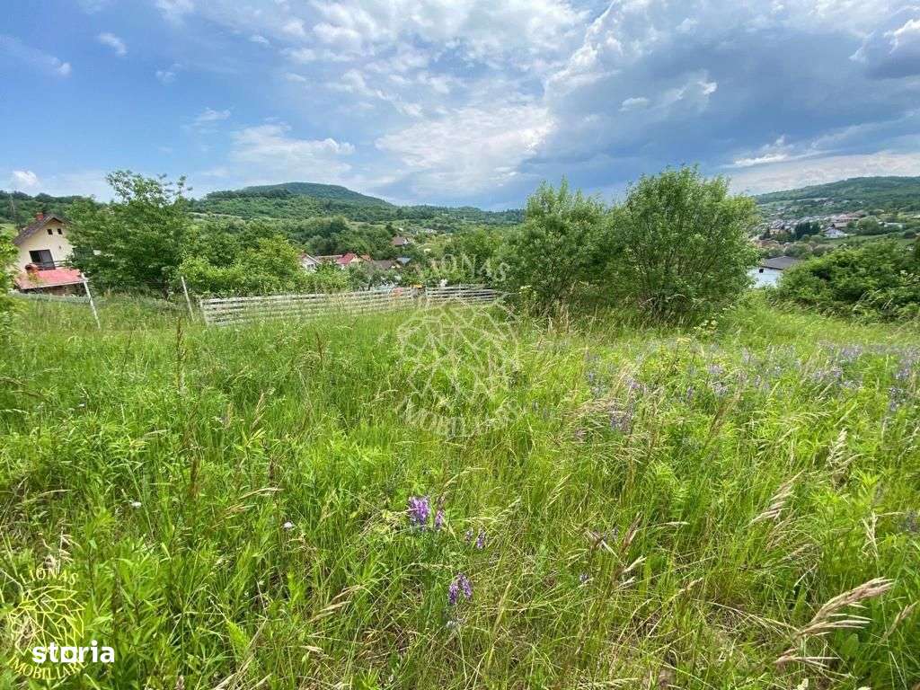 Teren intravilan 2800 mp cu utilitati-ideal case-Valea Ghinzii - Imagine principală: 5/9