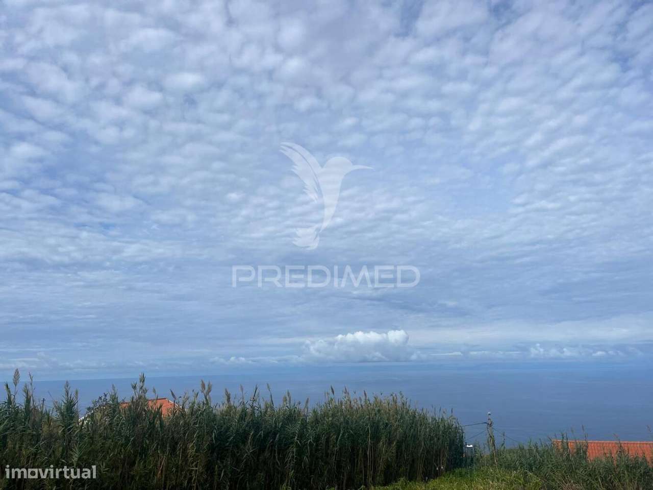 TERRENO COM 1.000 M2 NA PONTA DO PARGO - Grande imagem: 4/5