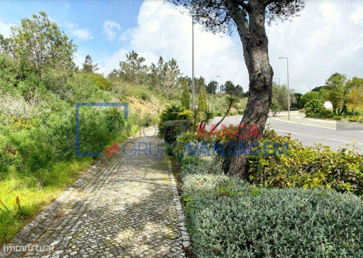 Lote Terreno - Belas Clube Campo - Grande imagem: 4/16