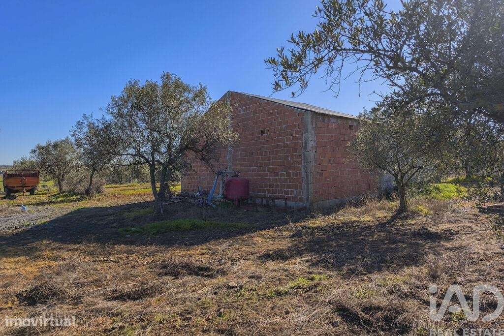 Terreno em Granja de 100700,00 m2 - Grande imagem: 5/30