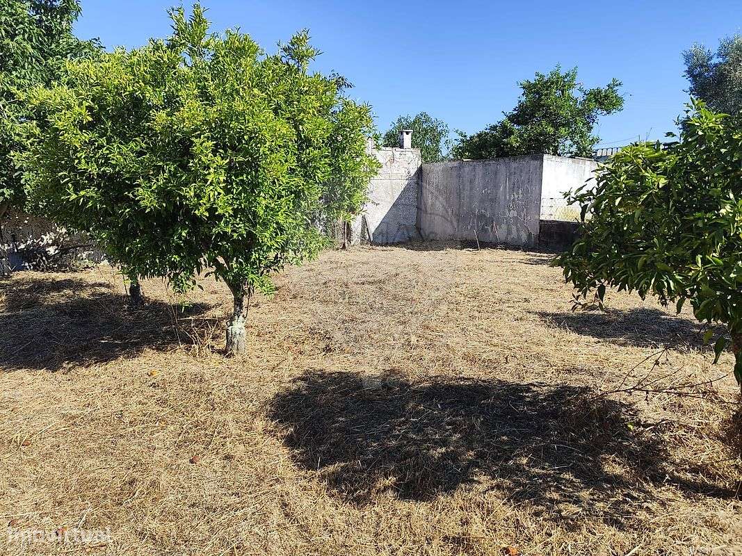 Quinta  para venda - Grande imagem: 4/12