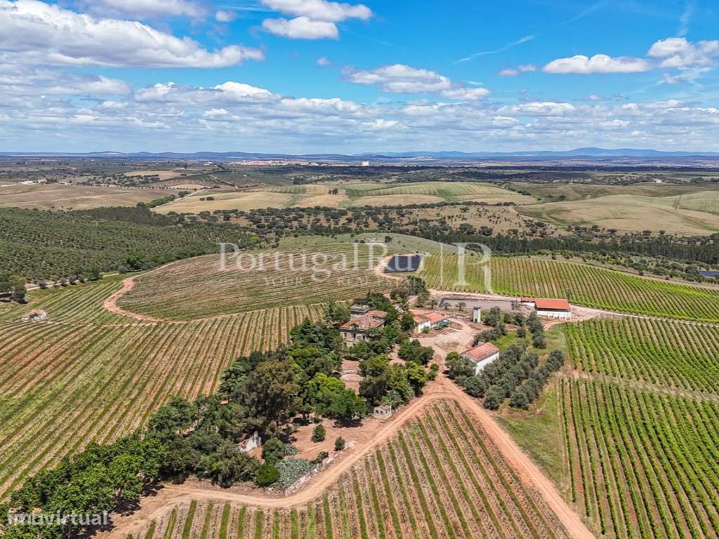 Moradia – Sousel - Vista 5