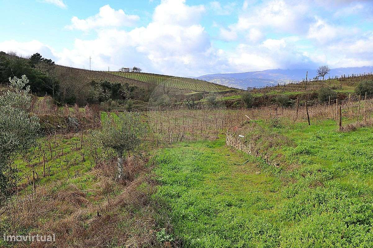 Quinta  para venda - Grande imagem: 5/14