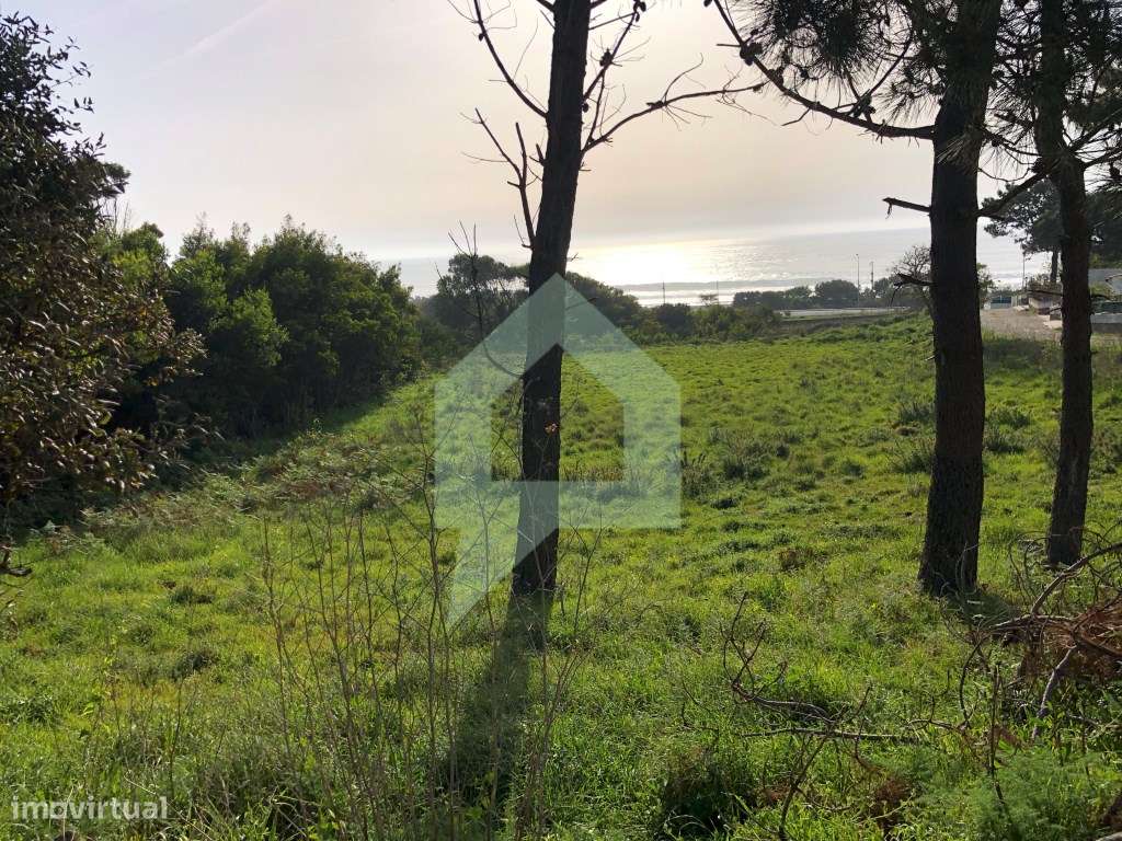 Terreno rústico em Moledo e Cristelo, Caminha. - Grande imagem: 4/12