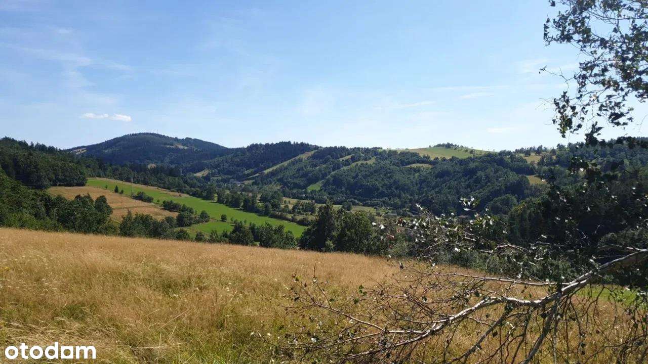 Urokliwa działka w Górach Sowich-10