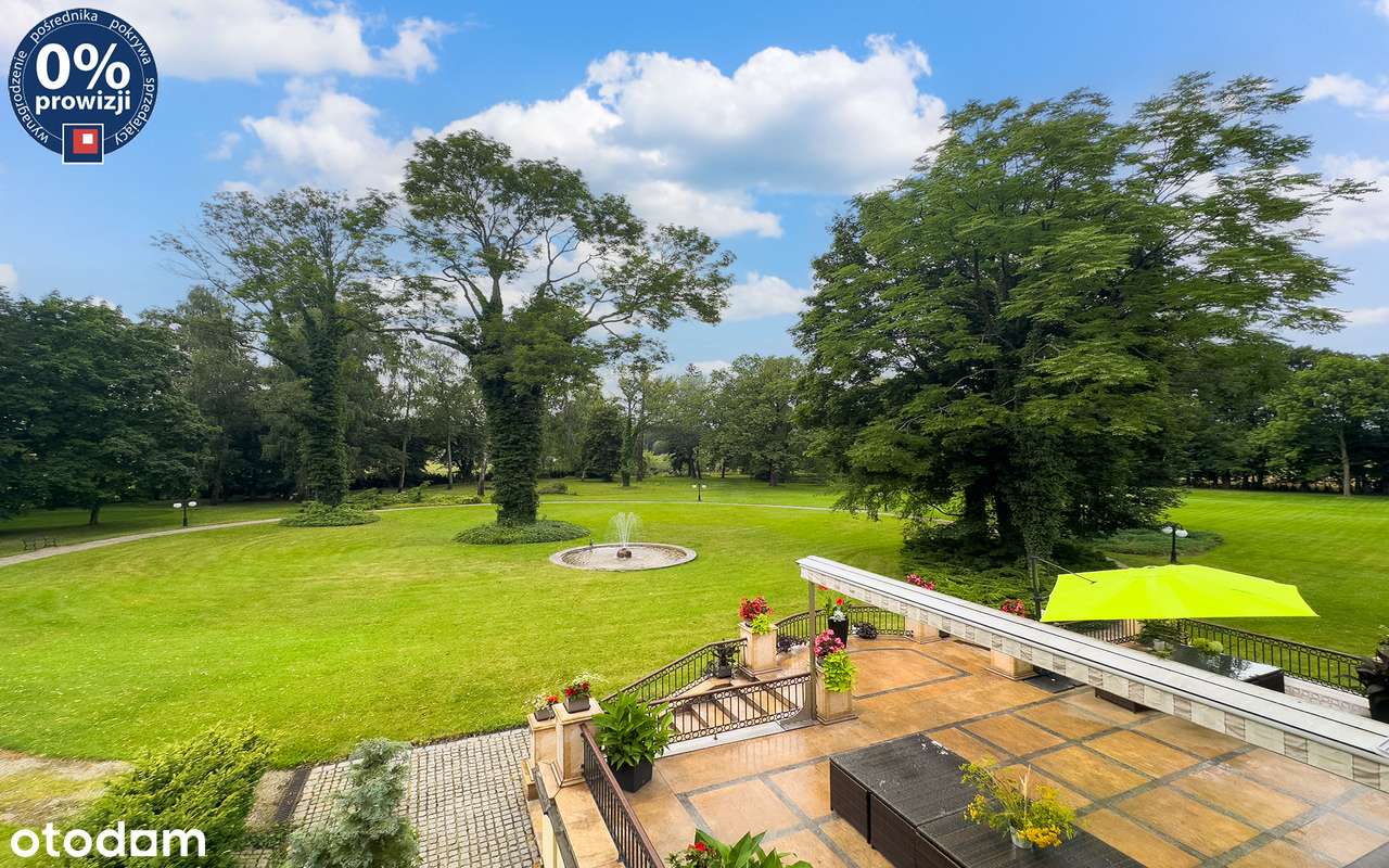 Prestiżowa rezydencja z basenem i zabytkowym parkiem | Cieszanowice.-14