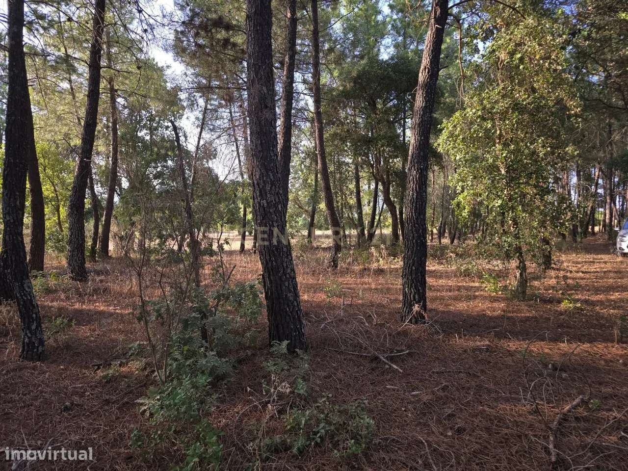 Terreno Rústico em Satão, Soalheira, Fundão, Potencial Único - Grande imagem: 3/13