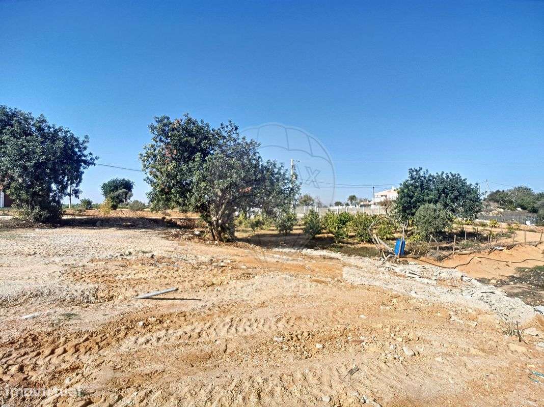 Quinta  para venda-16