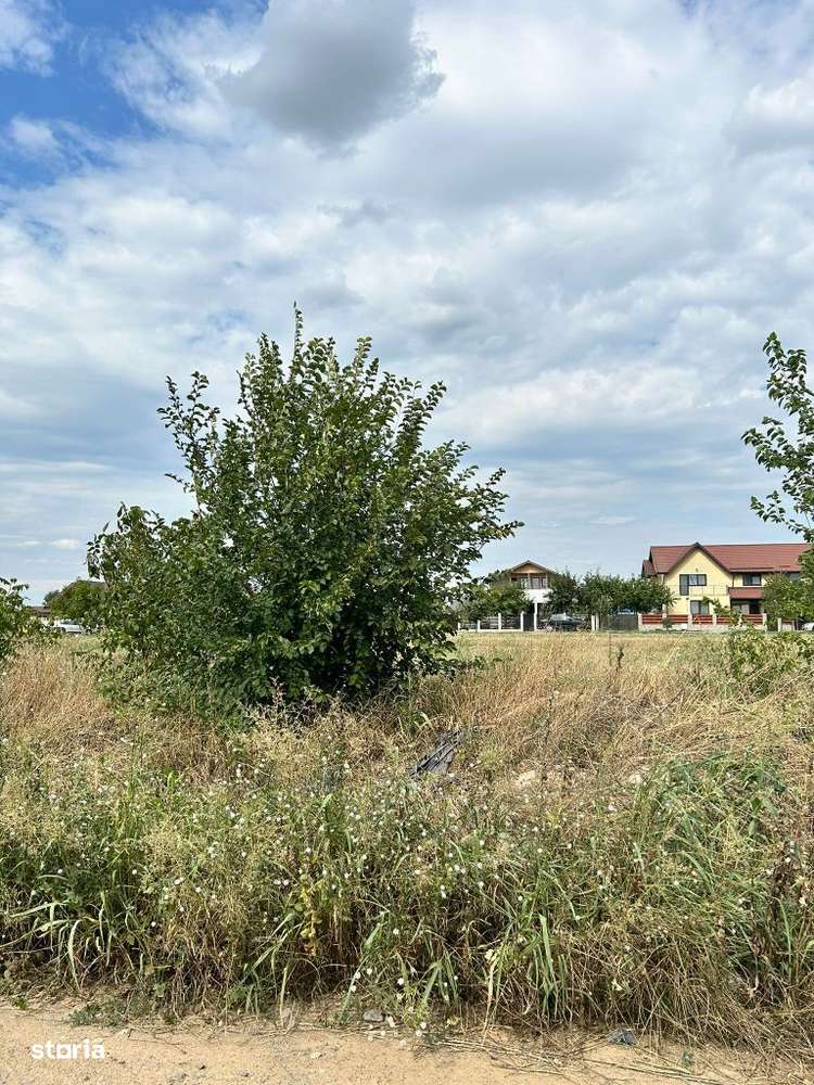 Domnnesti , Viorelelor - Imagine principală: 3/5