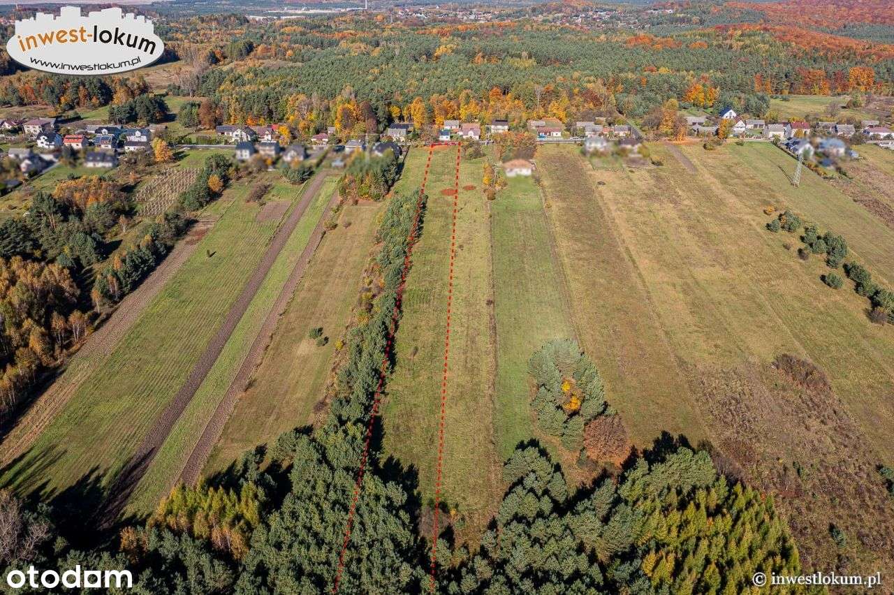 Działka, 7 430 m², Klucze - Pełny obrazek: 4/5