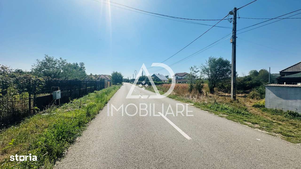 Teren de vânzare – Turcinești, județul Gorj - Imagine principală: 2/8