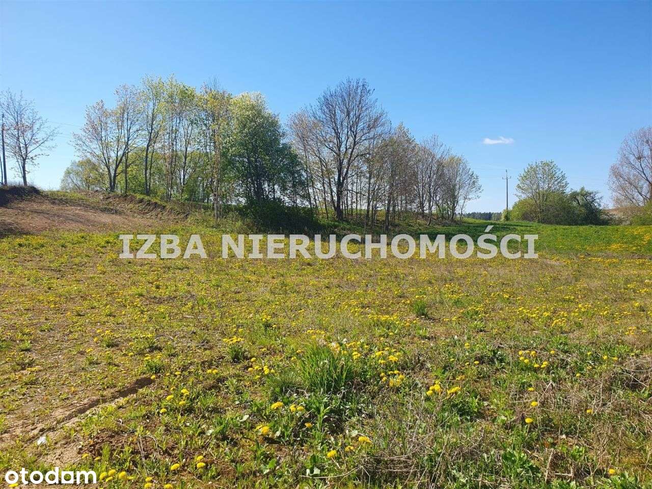 Działka, 2 651 m², Golubka