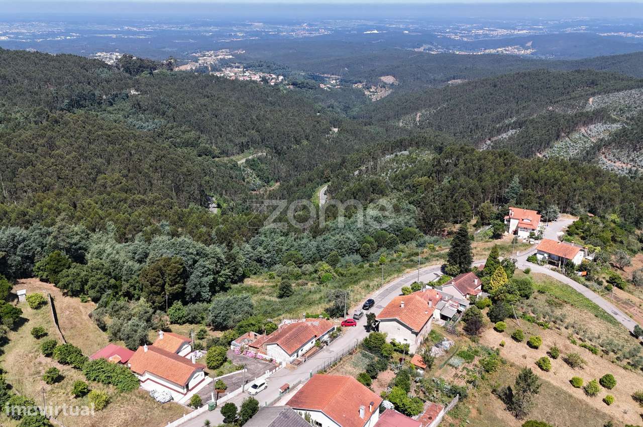 Lote Urbano na Encosta dos Castanheiros | Luso - Grande imagem: 5/9