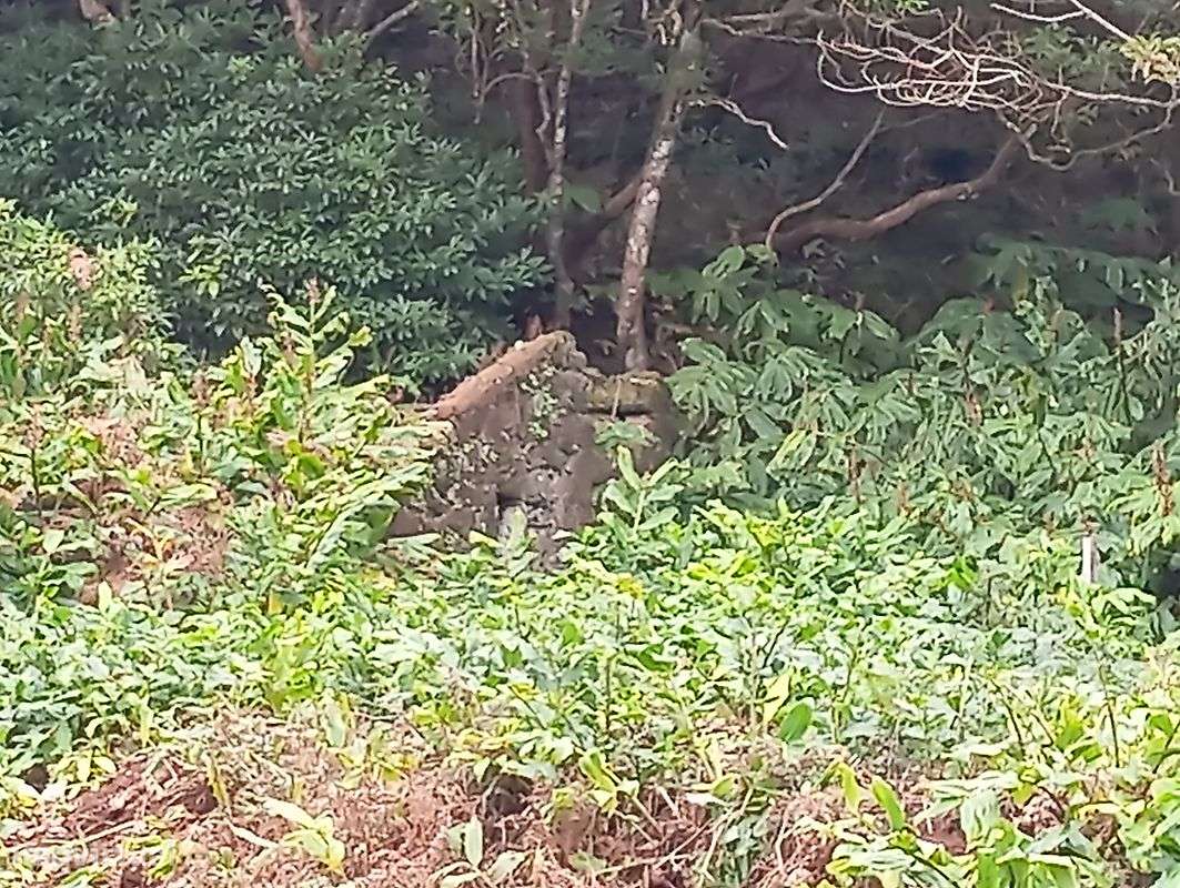 Terreno  para venda - Grande imagem: 2/6