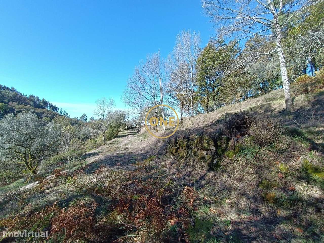 Terreno Rústico em Saim, Terras de Bouro - Grande imagem: 5/13