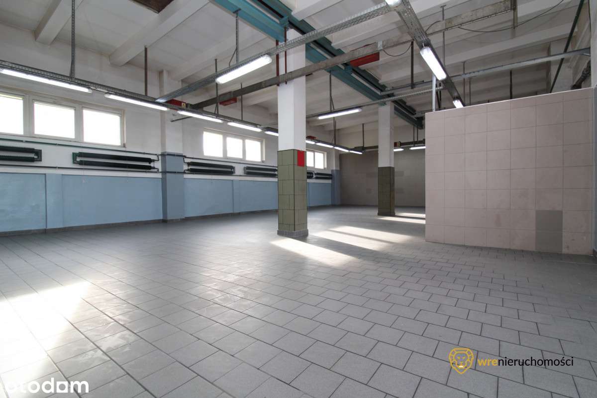 Hala produkcyjno-magazynowa/Warsztat/Biuro/Parking - Pełny obrazek: 5/12
