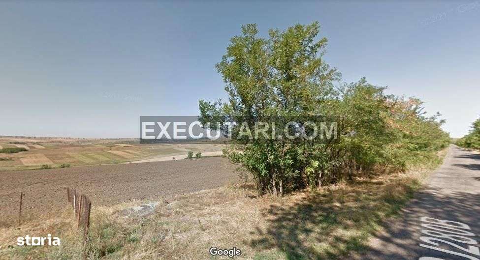 Teren intravilan arabil 40.000 m² - Targu Frumos - Iasi - Imagine principală: 2/5