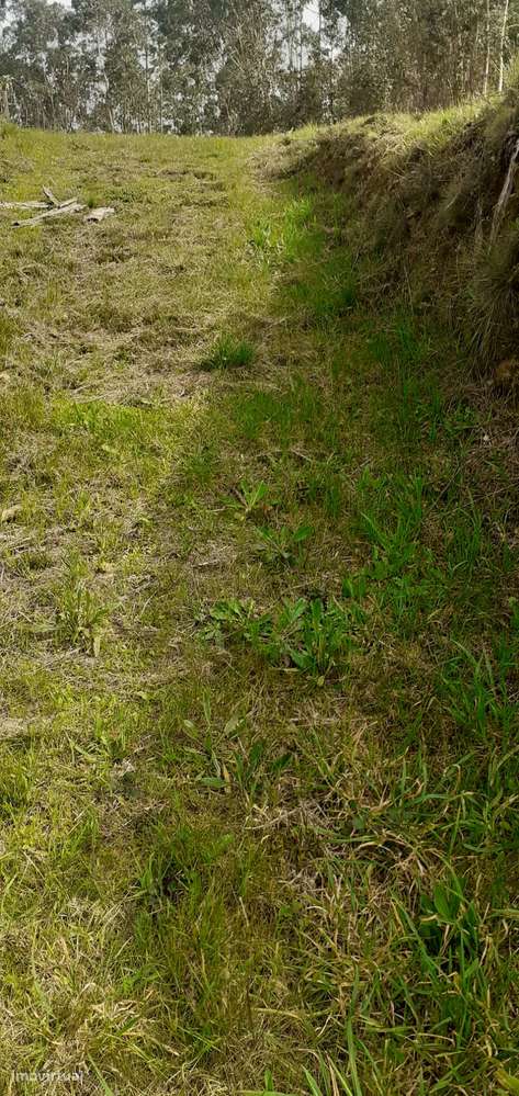 Terreno urbanizável em Sanguedo, Santa Maria da feira-4