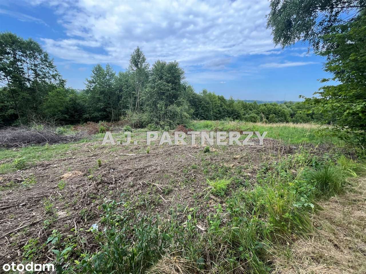 Działka budowlana z mediami w Golkowicach-0