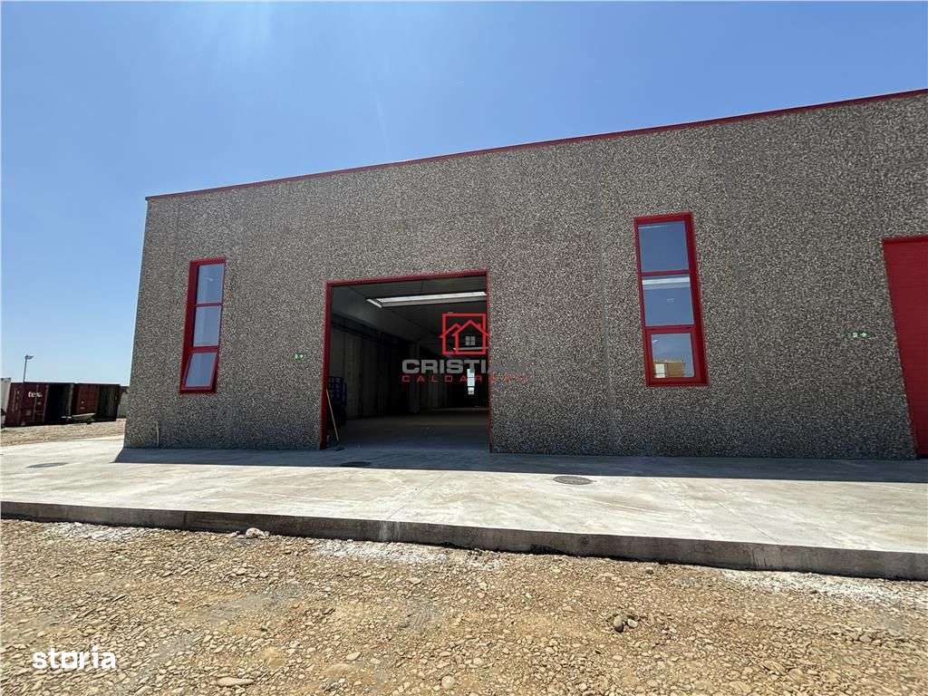 Inchiriere depozitspatiu industrialhala Chitila - Rudeni, ILFOV - Imagine principală: 4/19