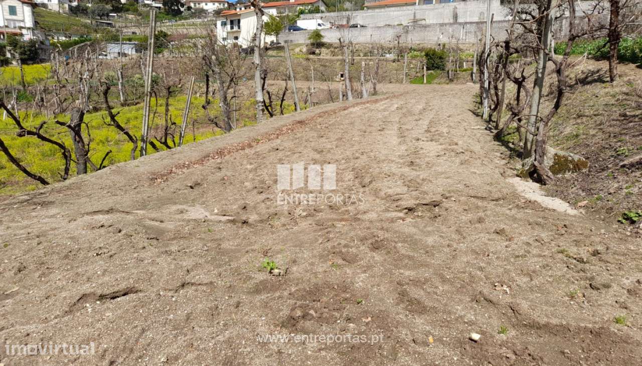 Venda Terreno, Fregim, Amarante - Grande imagem: 4/40