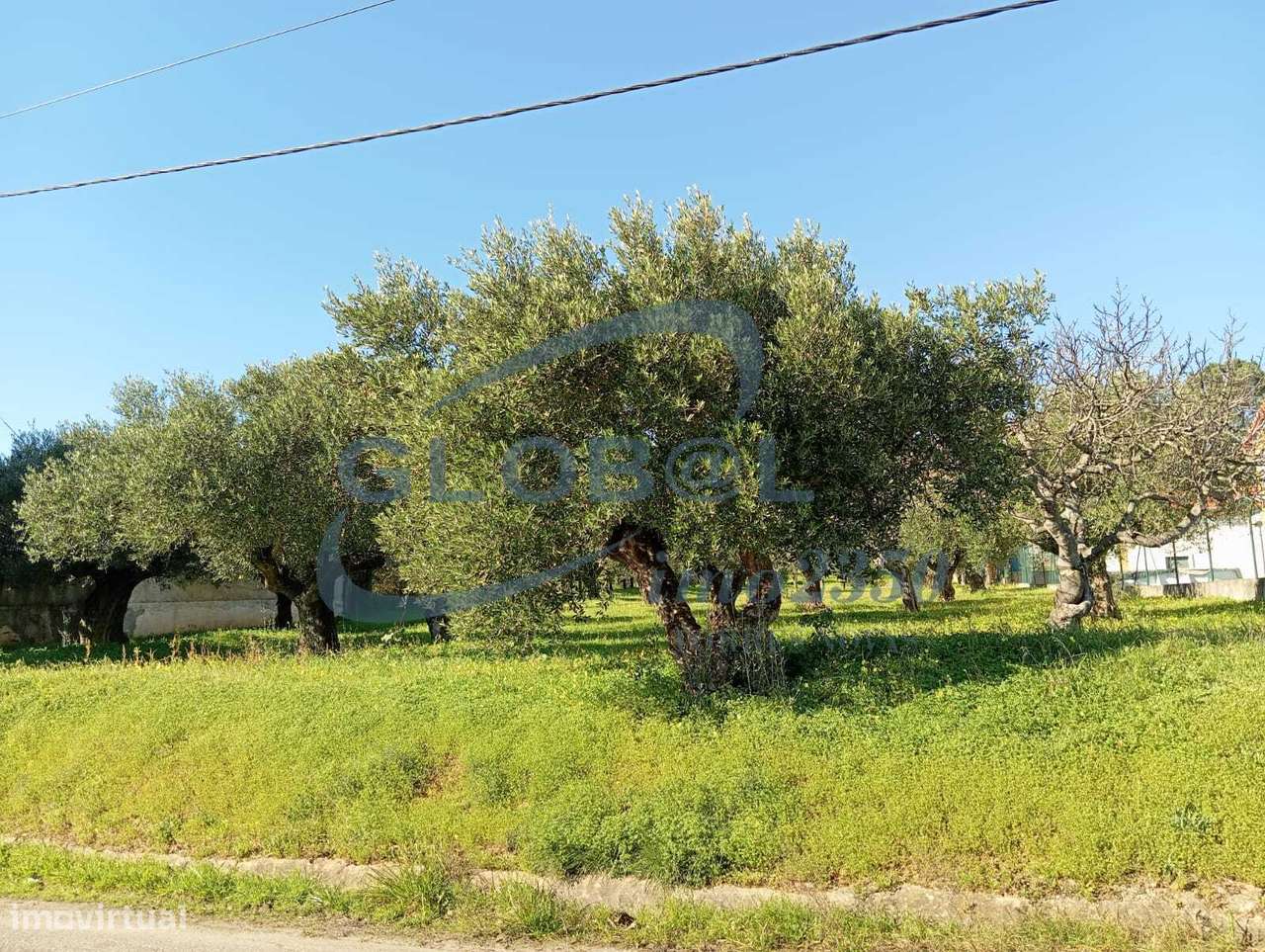 Terreno misto para construção em Alqueidão - Grande imagem: 3/9