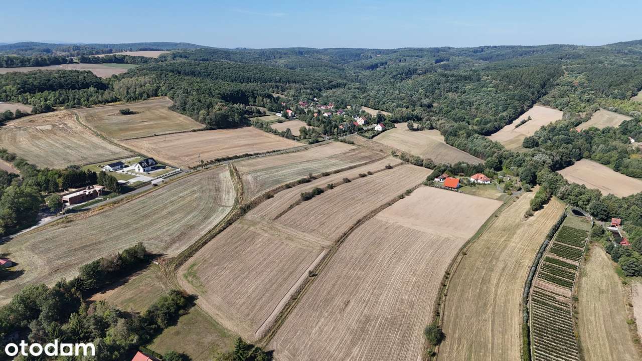 Działka, 8 342 m², Chełmiec-6
