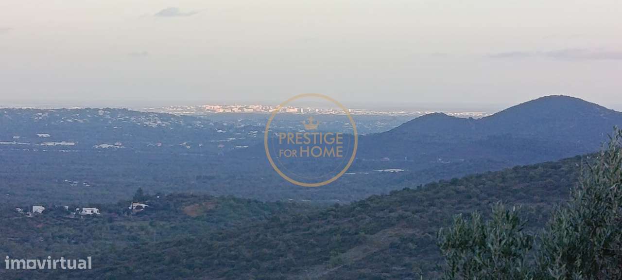 Terreno com ruina e ampla vista aberta da Picota até ao mar-7