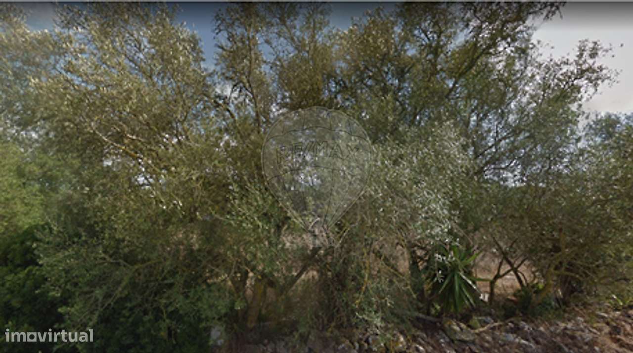 Terreno  para arrendamento - Grande imagem: 5/13