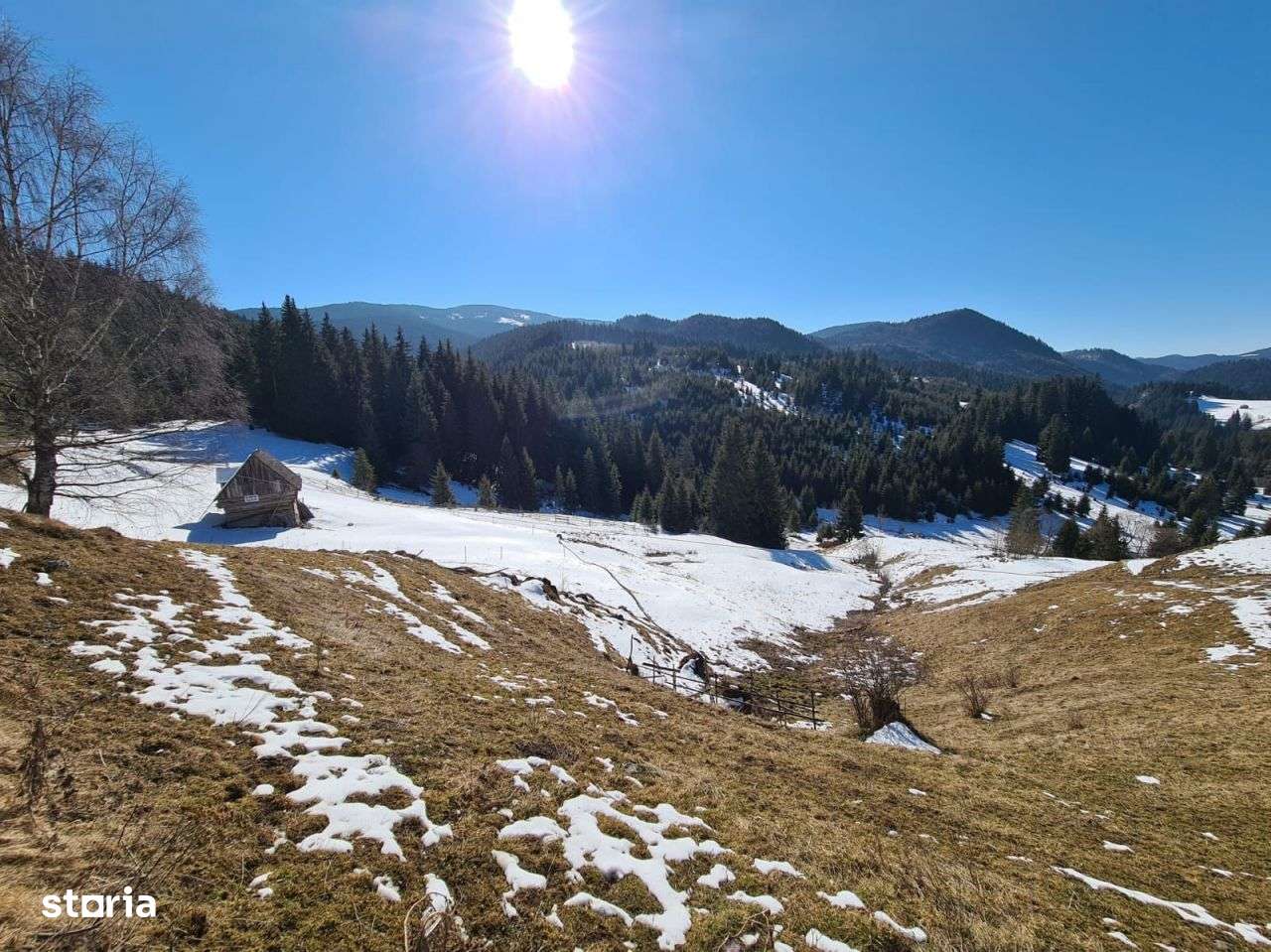 Teren situat langa padure de Vanzare - Imagine principală: 1/6