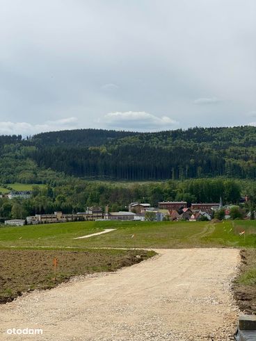 Działki budowlane w Międzylesiu