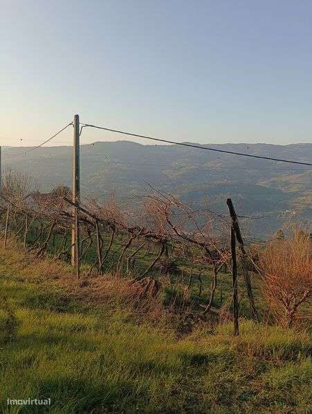 Terreno 6000 M2 com projeto resende - Grande imagem: 4/8
