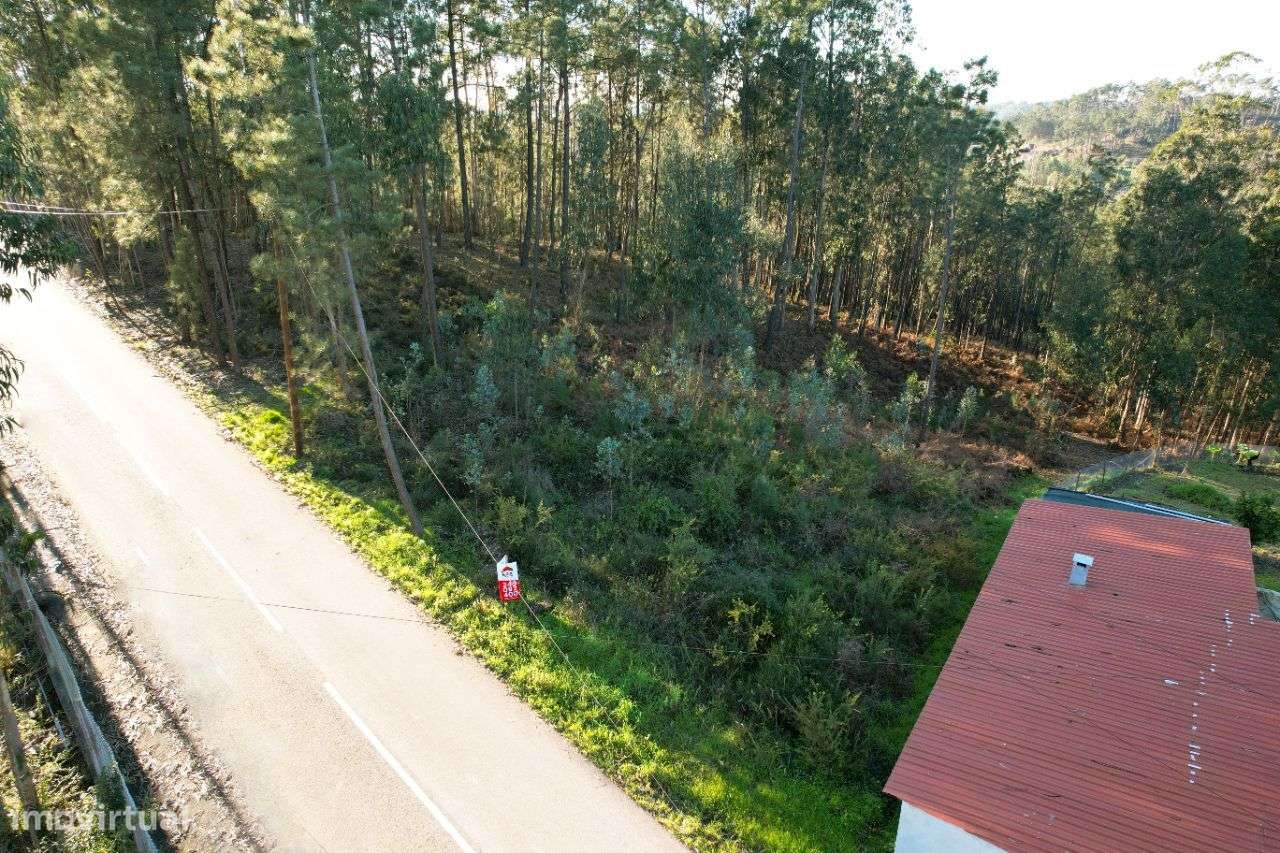 Terreno Para Construção localizado no Cercal, Ourém! - Grande imagem: 5/9