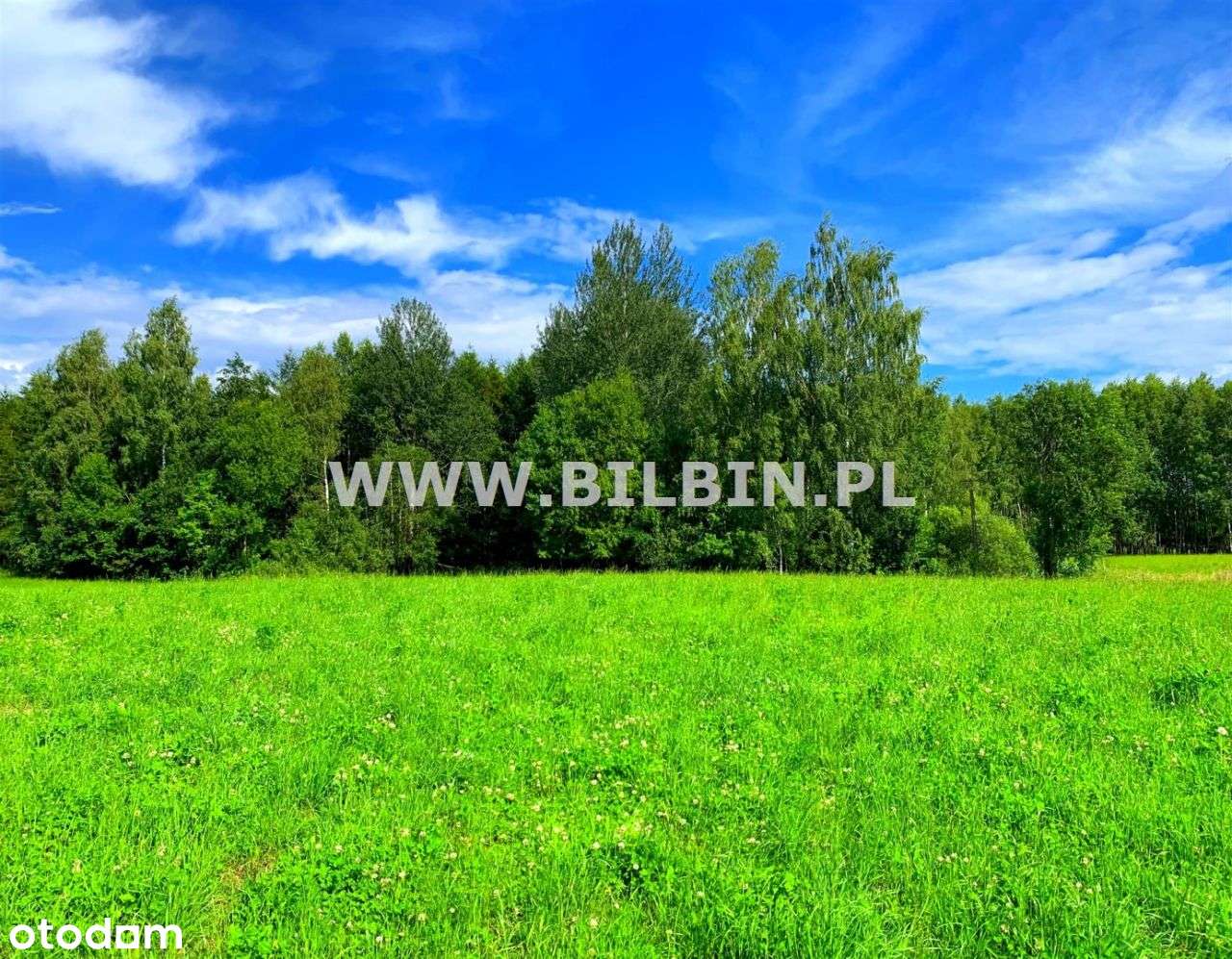 Działka przy jeziorze Hańcza z warunkami zabudowy - Pełny obrazek: 4/4