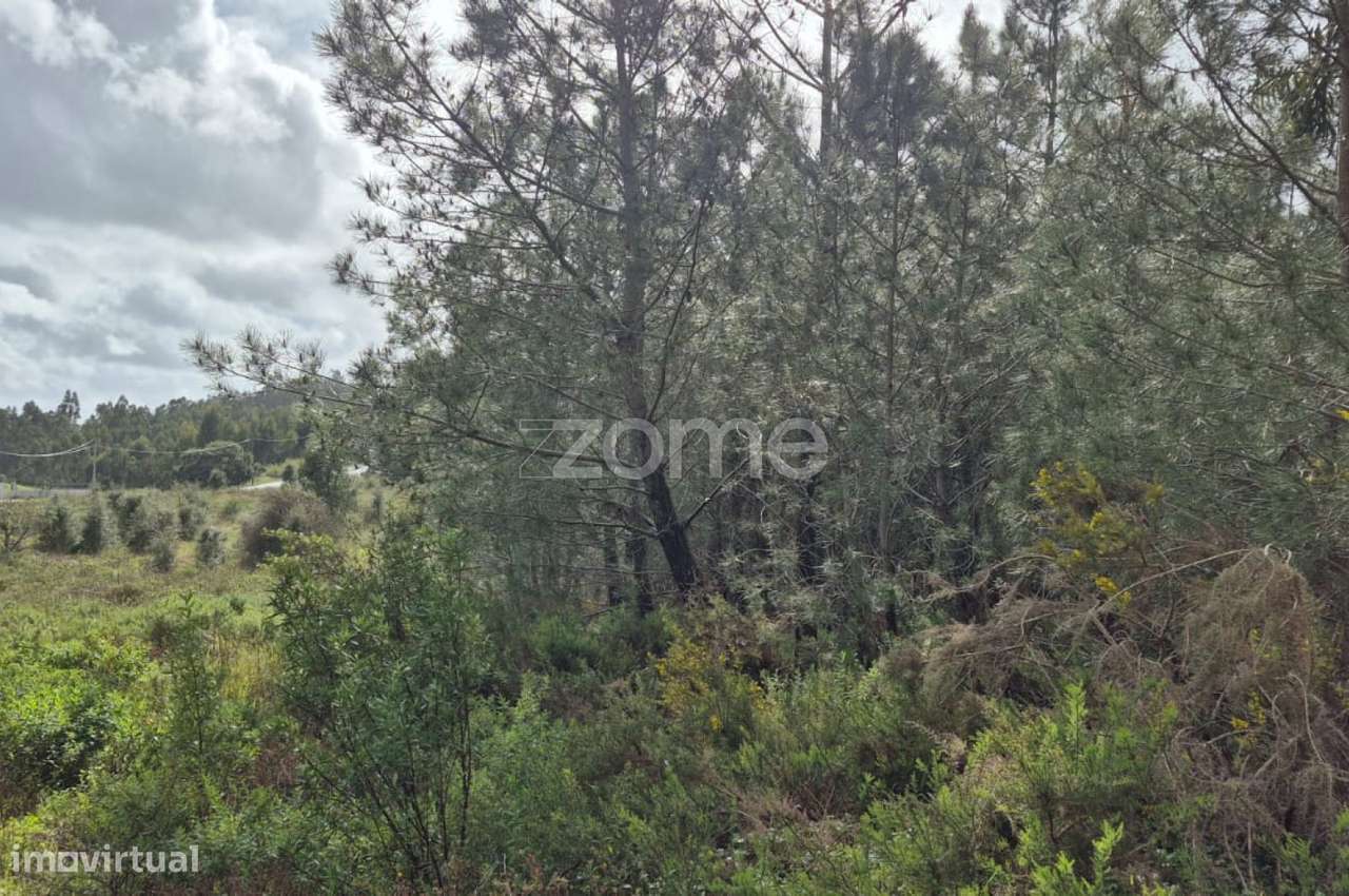 Terreno Rústico em Abrigada, Alenquer - Grande imagem: 3/56
