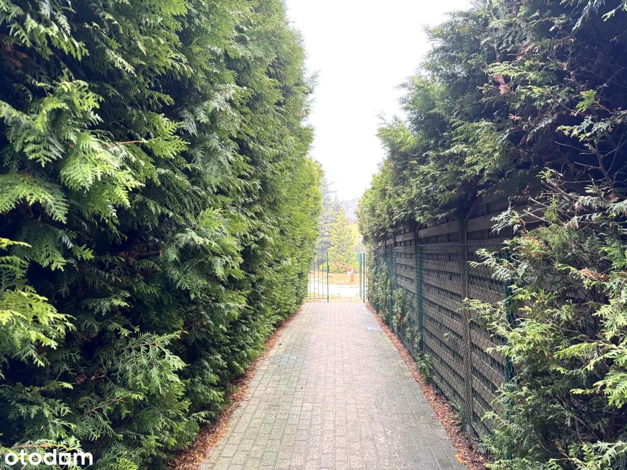 Wygodne, Nowoczesne Z Ogrodem.-14