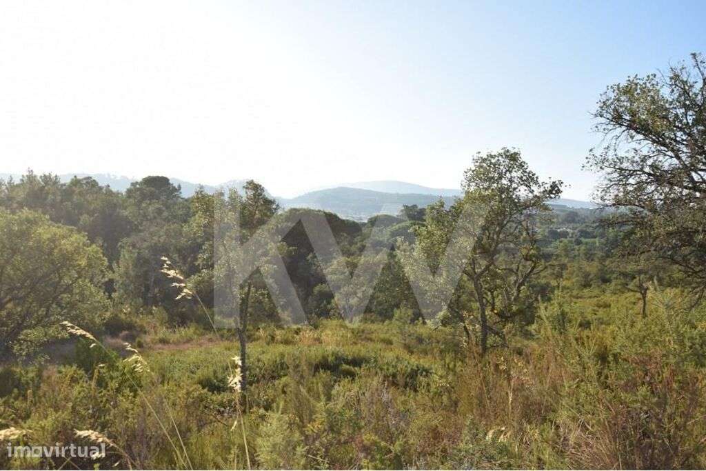 Lote de Terreno Rústico com Cerca de 40 Hectares na Freguesia da Ota – - Grande imagem: 4/33