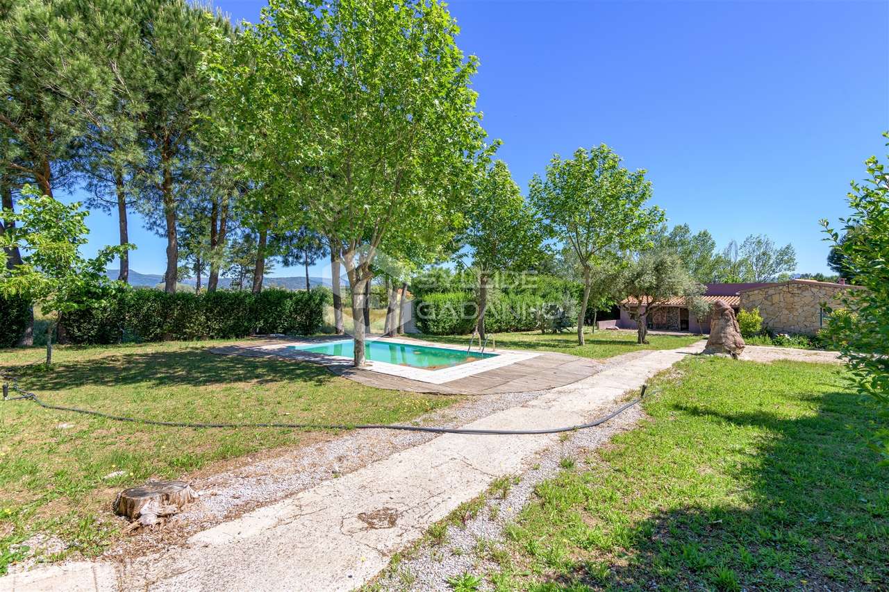 Quinta T8 Venda em Caria,Belmonte-35