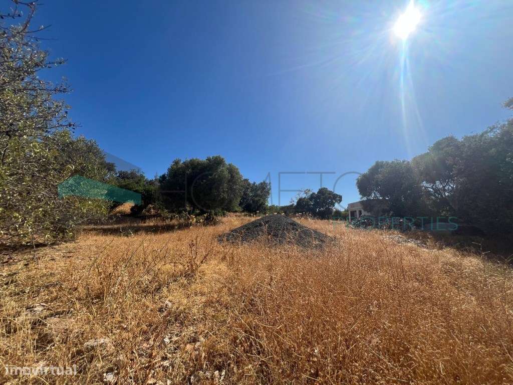 Terreno com projeto aprovado - Goncinha - Grande imagem: 5/10
