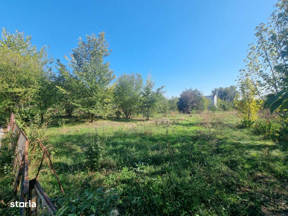 Loturi teren 500-1000 mp Strada Nuferilor / Petrom City-4