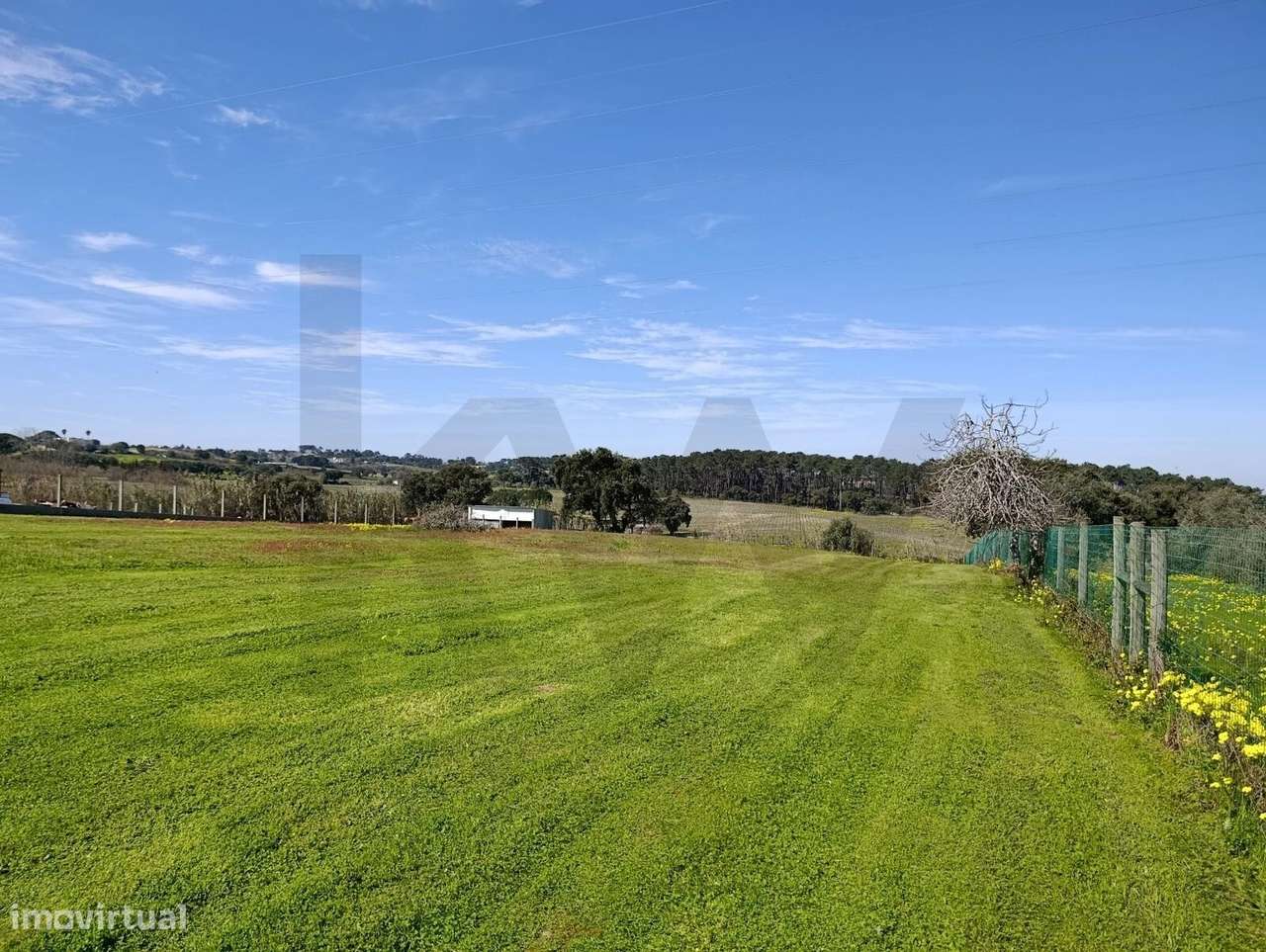 Terreno Urbano  de 4.000m2, Pontevel, Cartaxo-8