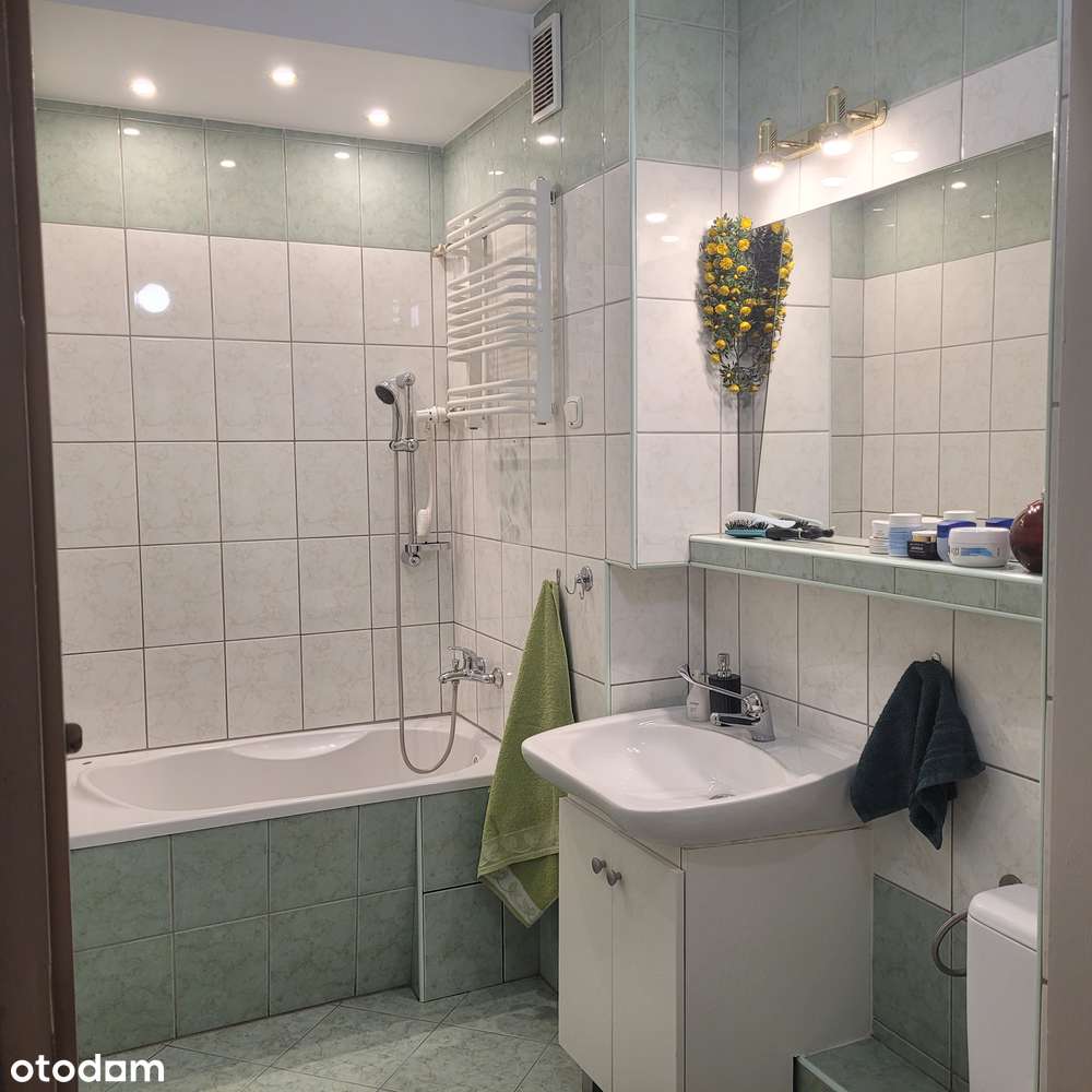 Mieszkanie 2 pokoje, rozkład, plomba, w ok. pl Bema-8