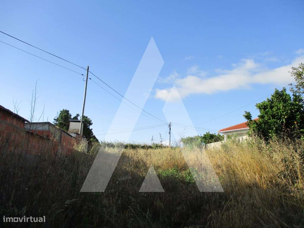 Terreno no Troviscal-0